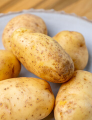 fresh natural green vegetables