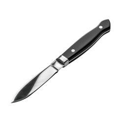 High-quality stainless steel knife with a sleek black handle, ideal for kitchen use or outdoor activities, isolated on a white background.
