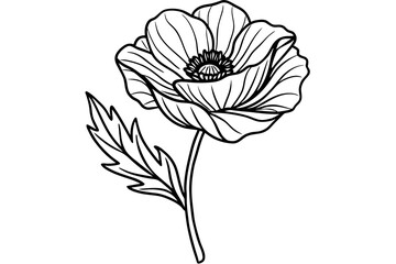 line drawing of wild poppy flower vector illustration