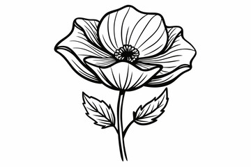 line drawing of wild poppy flower vector illustration