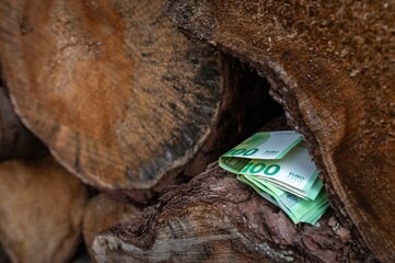 Deforestation in EU Lithuania. Paper money on cut tree. Deforestation concept. High energy prices, high fuel price