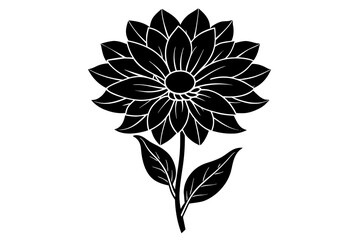 flower vector illustration