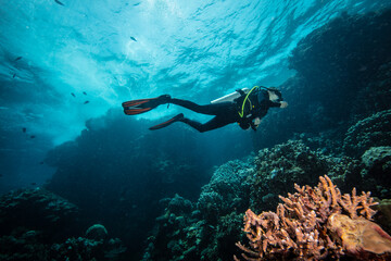 Fototapeta premium Girl Scuba Diver Diving on Tropical Coral Reef with Blue Background and Reef Fish.