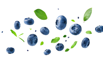Flying swirl wave of Blueberries with green leaves in the air isolated on background, popular season berries fruit.
