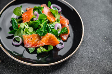 salmon salad appetizer meal food snack on the table copy space food background rustic top view keto or paleo diet vegetarian food