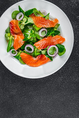salmon salad appetizer meal food snack on the table copy space food background rustic top view keto or paleo diet vegetarian food