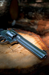 America Silver Large Caliber Revolver for Personal Protection on Wood