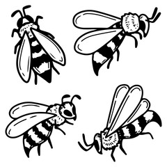 Bee doodle set. Flying insect wasp pollinator. Honey apiary. Hand drawn vector sketch illustration.
