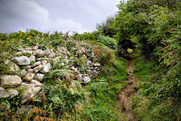 Weg mit Steinmauer in Frankreich