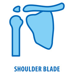 shoulder blade Icon simple and easy to edit for your design elements