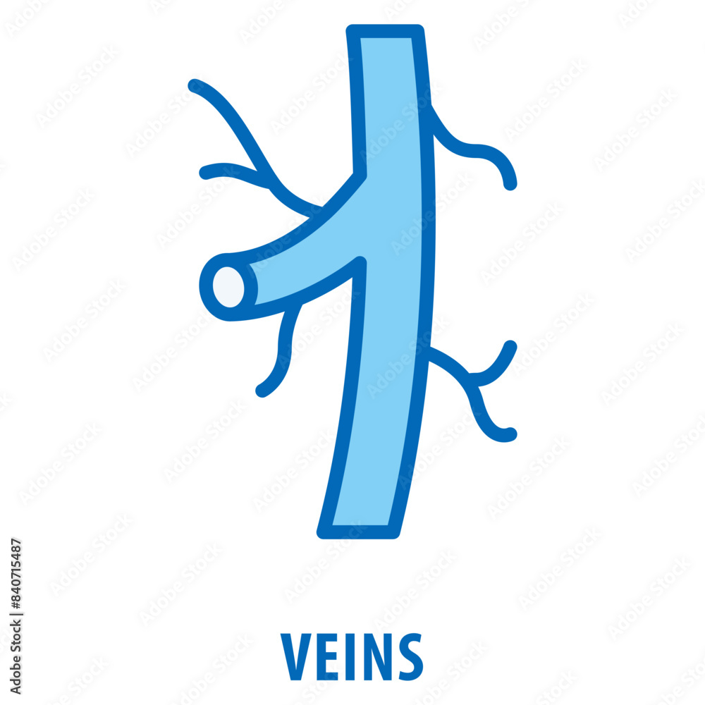 Poster veins icon simple and easy to edit for your design elements