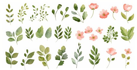Set of hand drawn watercolor vector illustrations of leaves and flowers clip art, with a pastel...