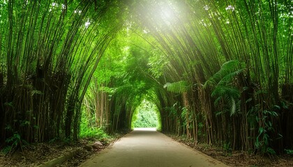 Fototapeta premium Dense jungle of Southeast Asia, wide green tree tunnels, banner background