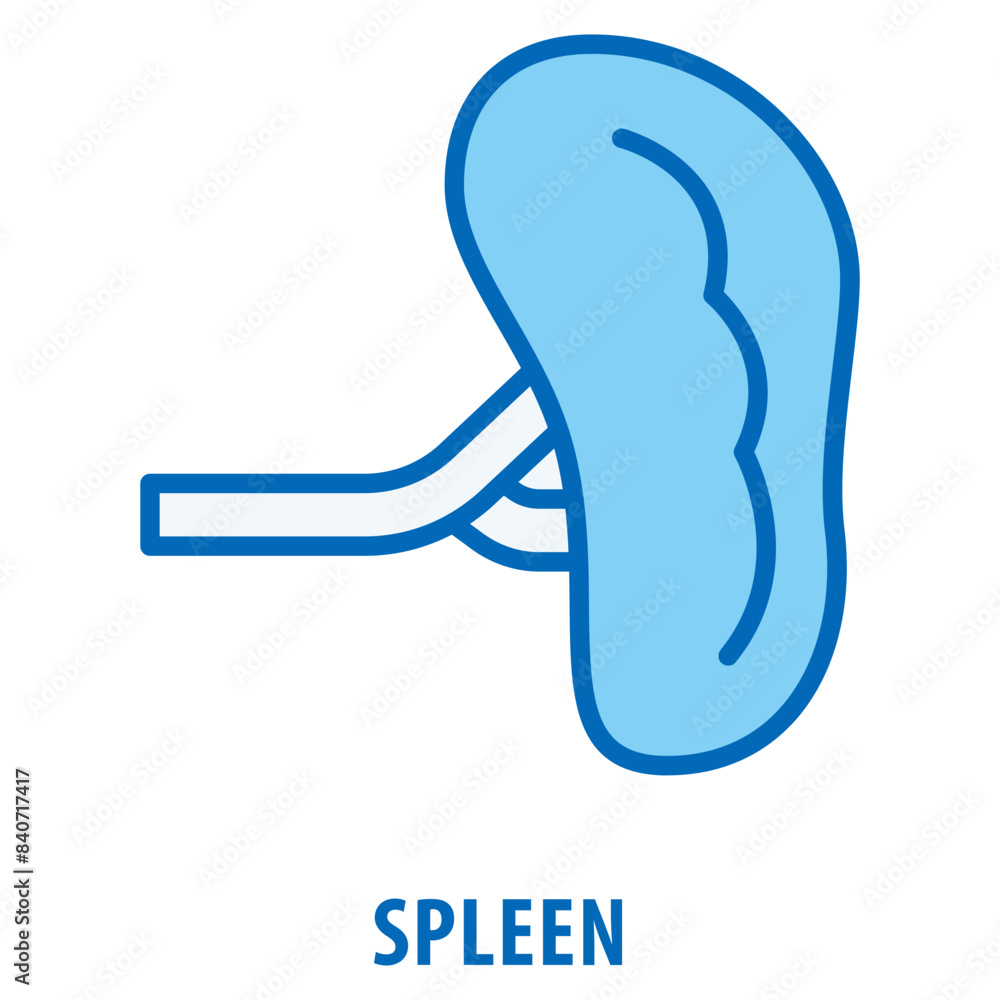 Poster spleen icon simple and easy to edit for your design elements