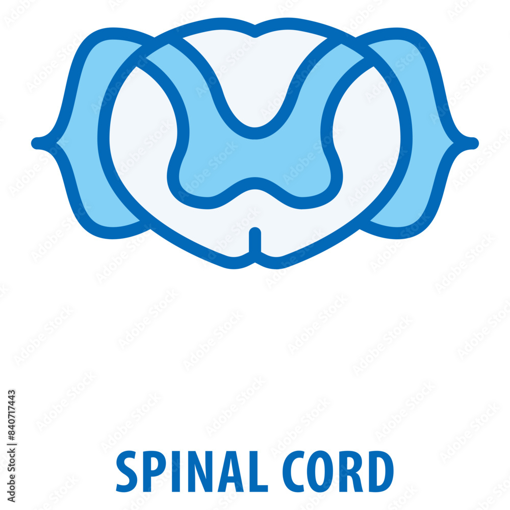 Poster spinal cord icon simple and easy to edit for your design elements