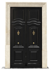 Entrance classic doors for the house