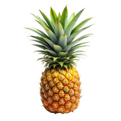 Fototapeta premium Fresh Tropical Pineapple Isolated on Background