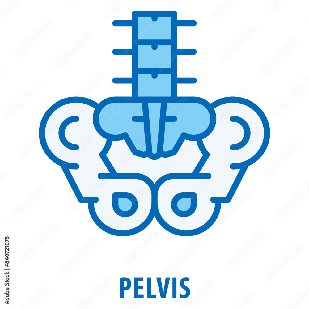 Poster pelvis icon simple and easy to edit for your design elements