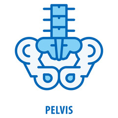 Pelvis Icon simple and easy to edit for your design elements