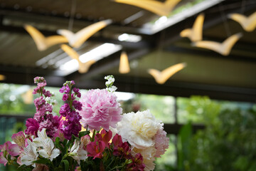 flowers in the garden