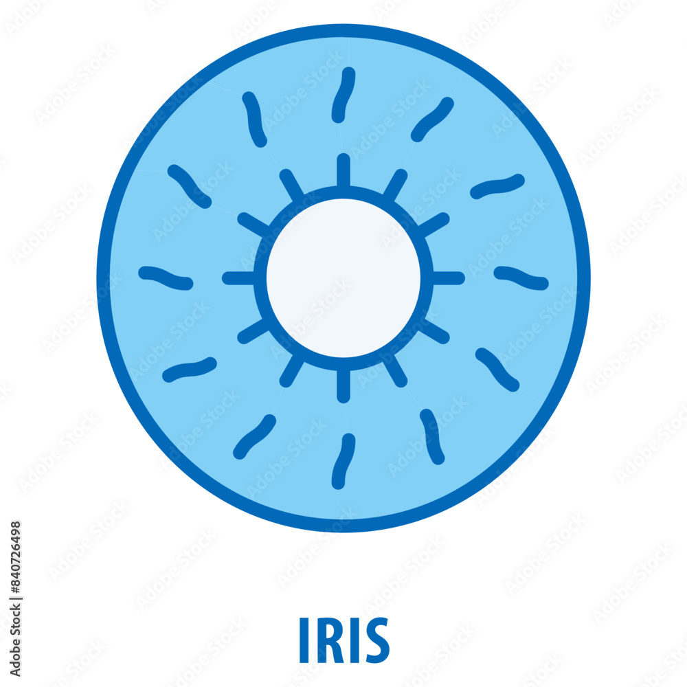 Poster iris icon simple and easy to edit for your design elements