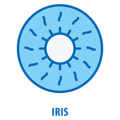 iris Icon simple and easy to edit for your design elements
