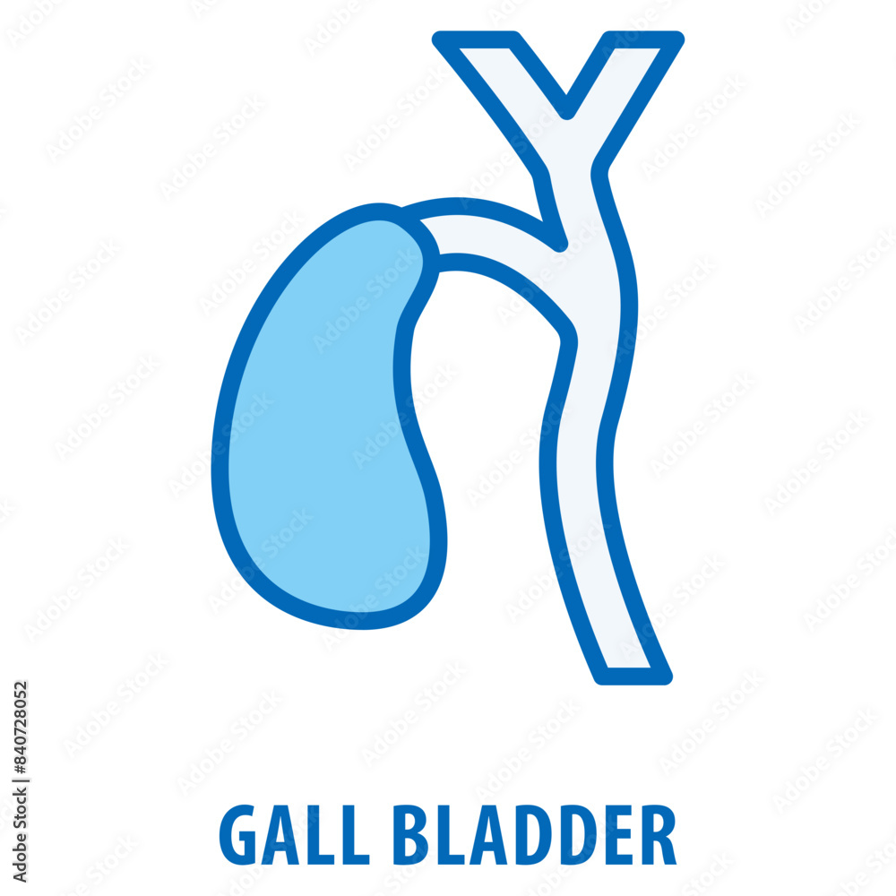 Poster gall bladder icon simple and easy to edit for your design elements