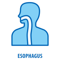 esophagus Icon simple and easy to edit for your design elements