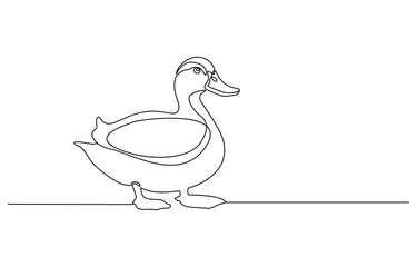Duck in one continuous line drawing vector illustration. Pro vector,
Continuous single line art drawing of pet animal duck concept outline vector illustration, Vector minimalist linear illustration.
