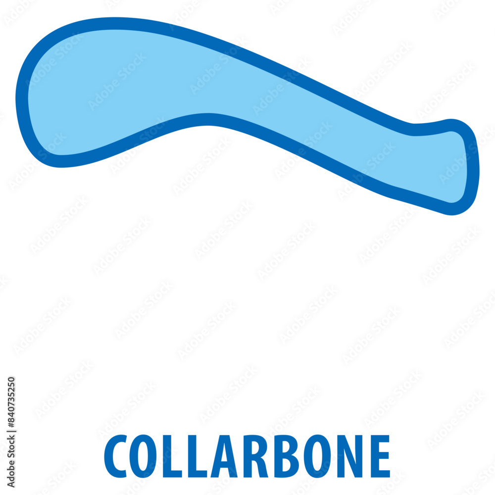 Poster collarbone icon simple and easy to edit for your design elements