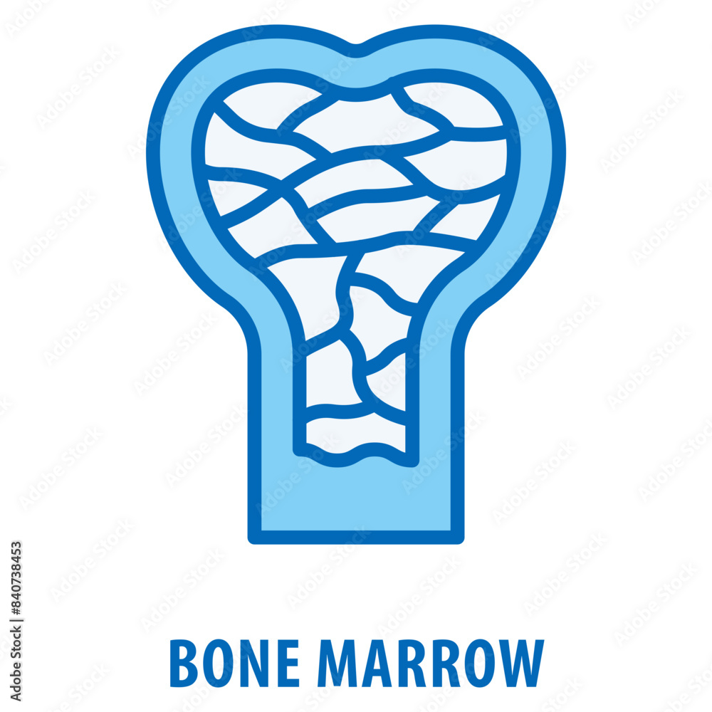 Aufkleber bone marrow icon simple and easy to edit for your design elements