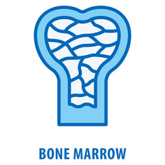 Bone marrow Icon simple and easy to edit for your design elements