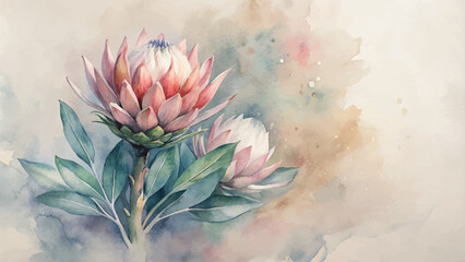 Vintage protea flower watercolor background