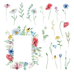 Watercolor frame with wildflowers, summer floral