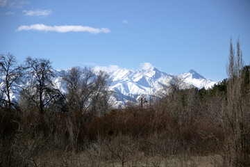 snowy mountains in the distance, sunny day