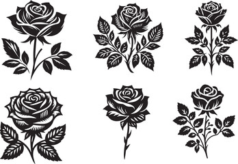 black and white roses