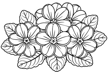 Set of a decorative stylized primula flower