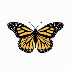 Fototapeta premium Beautiful colorful butterfly isolated over white background