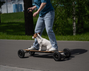 Caucasian woman rides an electric longboard with her Jack Russell Terrier dog.