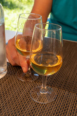 Tasting of Bordeaux white wine in Sauternes, left bank of Gironde Estuary, France. Glasses of white sweet French wine served in restaurant