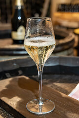 Tasting of grand cru sparkling brut white wine with bubbles champagne by old champagne caves in grand cru wine producer small village Cramant, Champagne, France