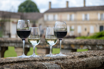 Glasses of white and red wine in old wine domain on Graves vineyards in Portets village and old castle on background, Bordeaux, France