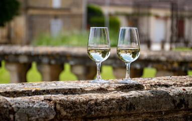 Glasses of white wine in old wine domain on Sauternes vineyards in Barsac village and old castle on...