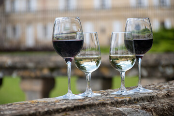 Glasses of white and red wine in old wine domain on Graves vineyards in Portets village and old castle on background, Bordeaux, France