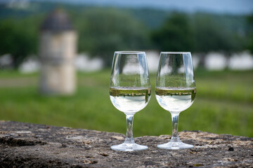 Glasses of white wine in old wine domain on Sauternes vineyards in Barsac village and old castle on background, Bordeaux, France
