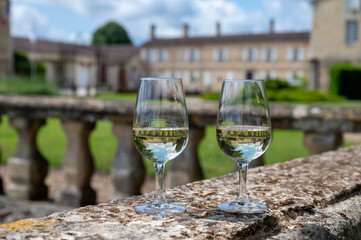 Glasses of white wine in old wine domain on Sauternes vineyards in Barsac village and old castle on background, Bordeaux, France