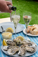 Fresh french oysters molluscs from Arcachon bay served on oysters farm in Gujan-Mestras, with lemon, baquette bread, butter and champagne dry wine