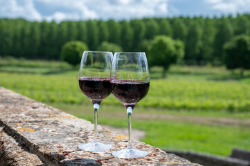 Glasses of french dry red wine in old wine domain on Graves vineyards in Portets village and old castle on background, Bordeaux, France