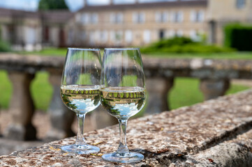 Glasses of white wine in old wine domain on Sauternes vineyards in Barsac village and old castle on background, Bordeaux, France