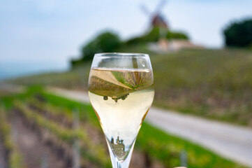 Tasting of brut champagne sparkling wine outdoor with view on pinot noir gran cru vineyards of...